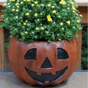 Ceramic Pumpkin Planter - 14in