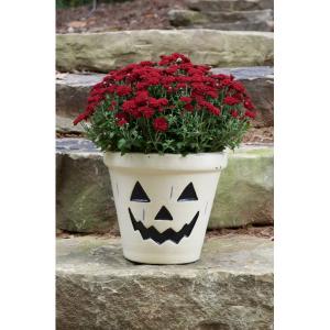 Ceramic Planter Fearful Cas - 11.5in