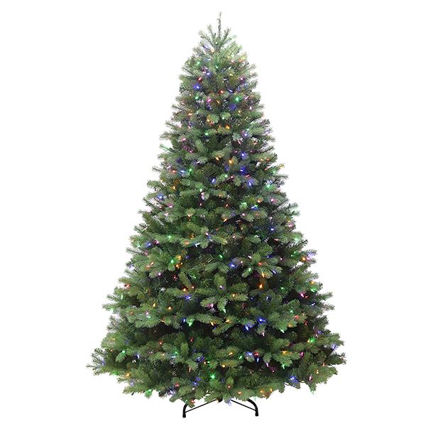 Kingston Fir - 7.5 ft