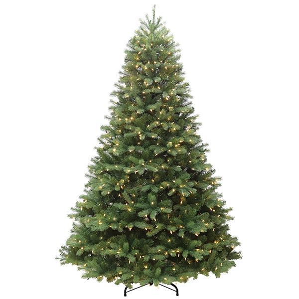 Kingston Fir - 7.5 ft