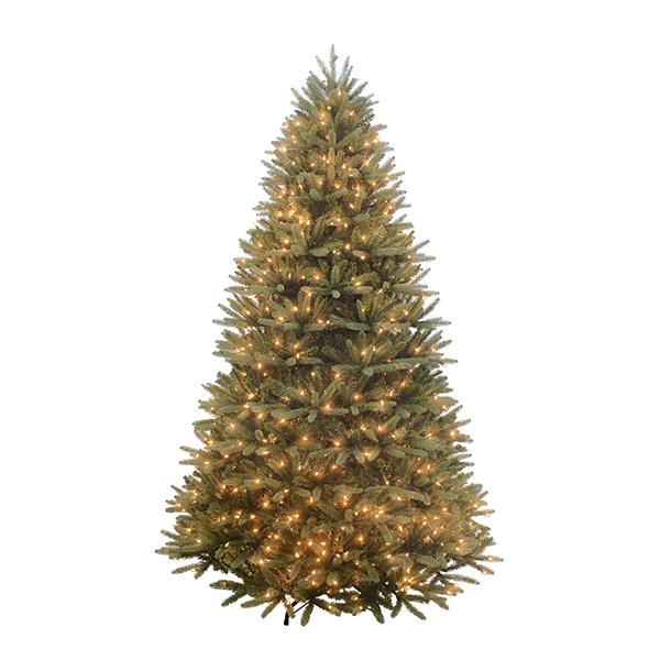 Washington Valley Spruce (Blue) - 7.5 ft