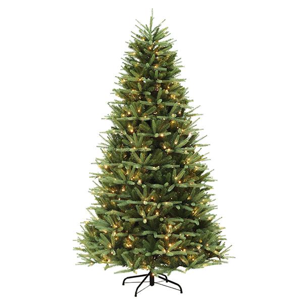 Washington Valley Spruce (Green) - 7.5 ft