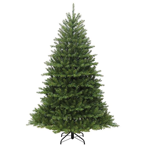 Danbury Fir - 6.5 ft