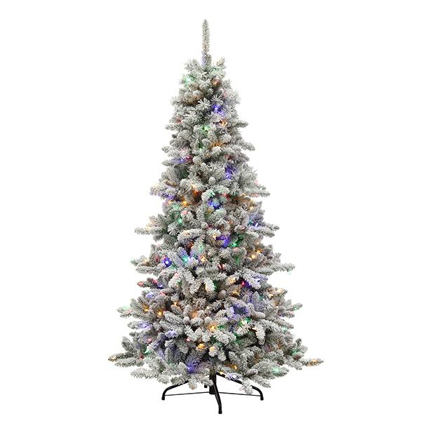 Birmingham Fir - 6.5 ft