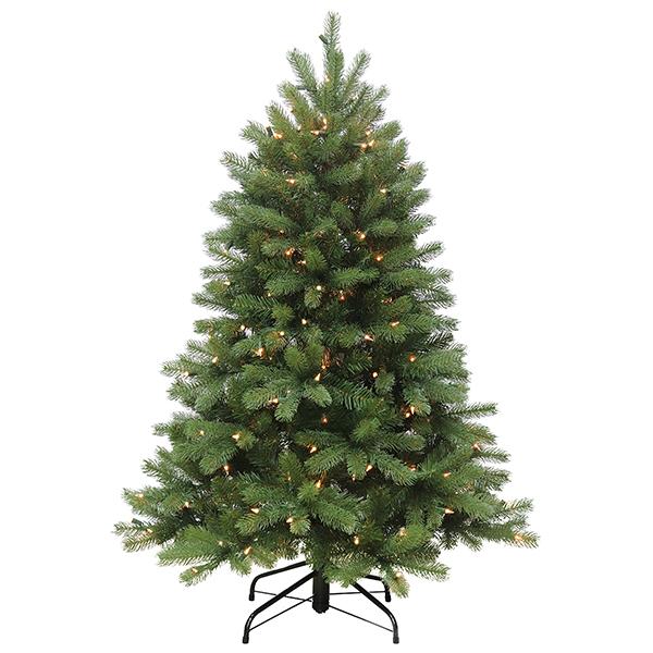 Kingston Fir - 4.5 ft