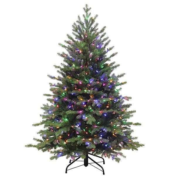 Norway Spruce - 5.0 ft
