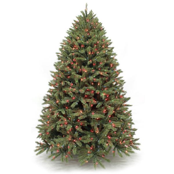 Frazier Fir Blue Green Pre-Lit - 4.5ft