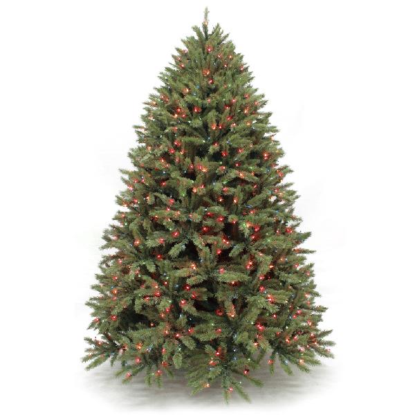 Frazier Fir Blue Green Pre-Lit - 6.5ft