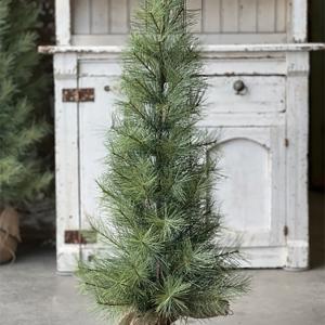 Long Needle Pine With Burlap Base - 3ft