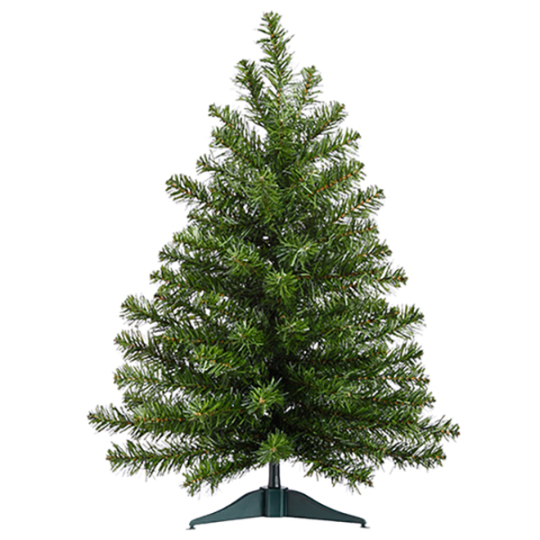 Balsam Pine - 2ft