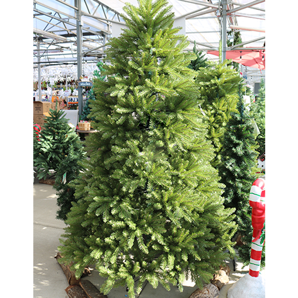 Frazier Fir Blue Green - 7.5ft