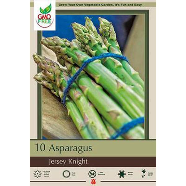 Asparagus Crowns (Bare Root) Jersey Knight - 10 Pack