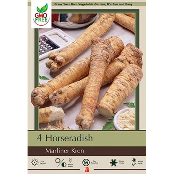 Horseradish (Bare Root) Marliner Kren - 3 Pack