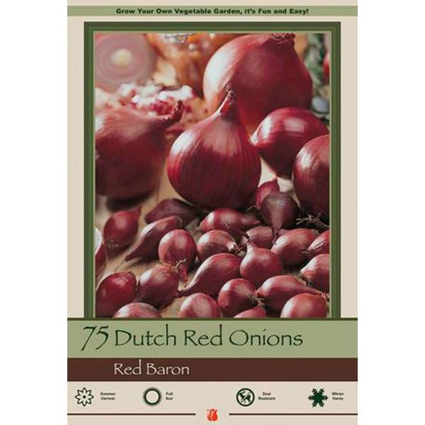 Onion Bulb Sets Dutch Red 'Red Baron' - 75 Pack