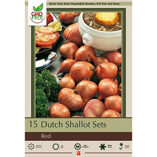 Shallot Bulbs Dutch Red 'Red Sun' - 15 Pack