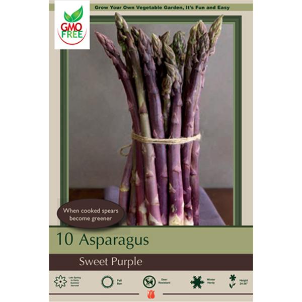 Asparagus Crowns (Bare Root) Sweet Purple - 10 Pack