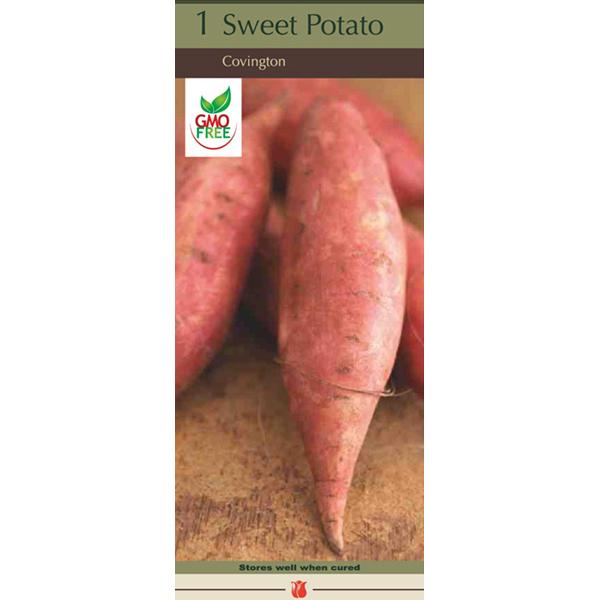 Sweet Potato Covington - Single Pack