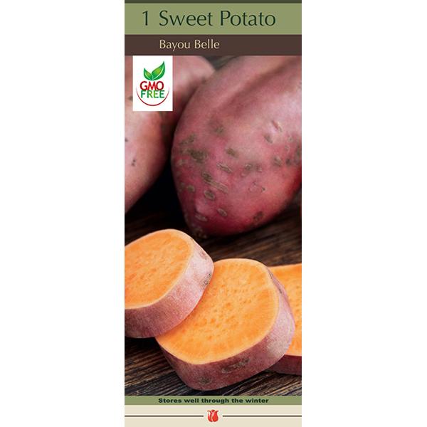 Sweet Potato Bayou Belle - Single Pack