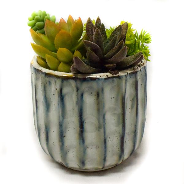 Succulent In Ribbed Glazed Pot - 3.5in