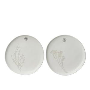 Stoneware Dinner Plate White 10In