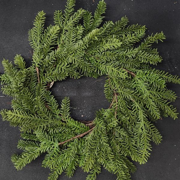 Wreath Norfolk Cypress 26 in