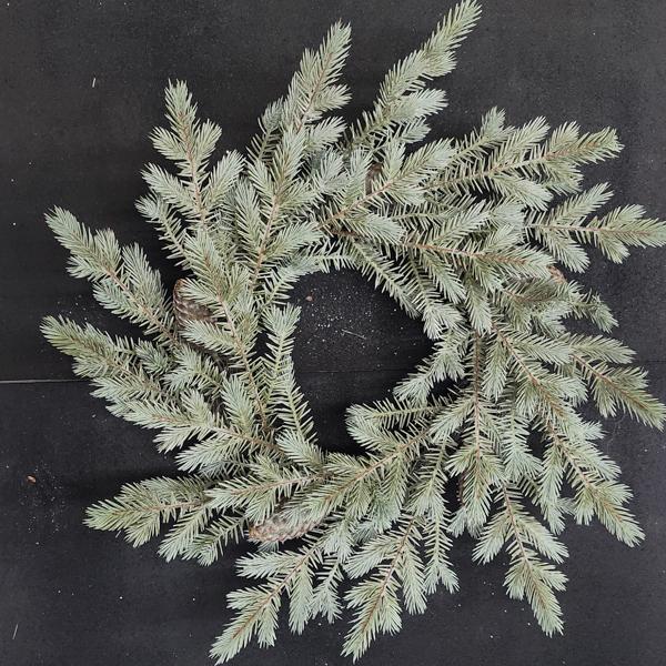 Wreath North Rim Hemlock 24 in