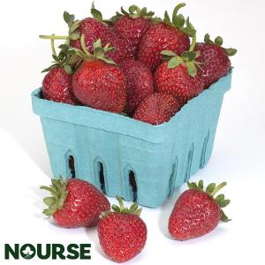 Strawberry Seascape Everbearing