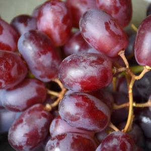 Grape Seedless Reliance