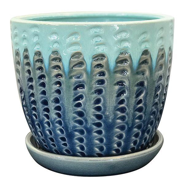 Pompeii with Saucer