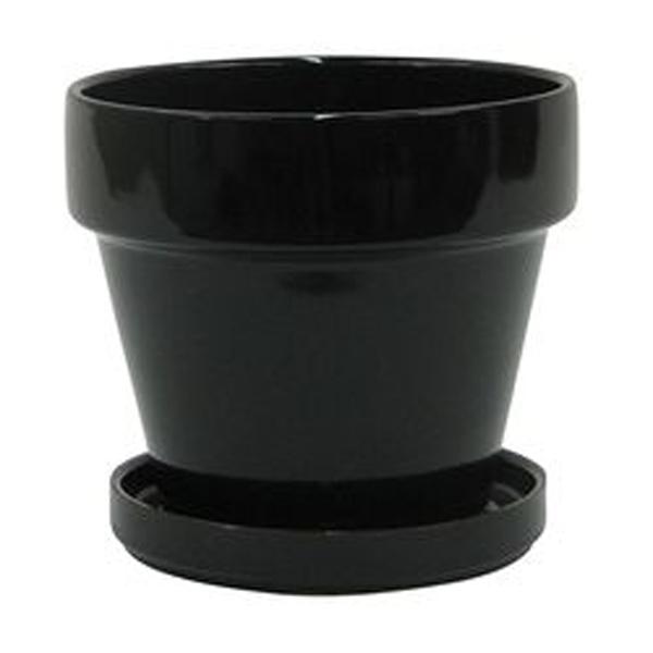 Standard with Saucer