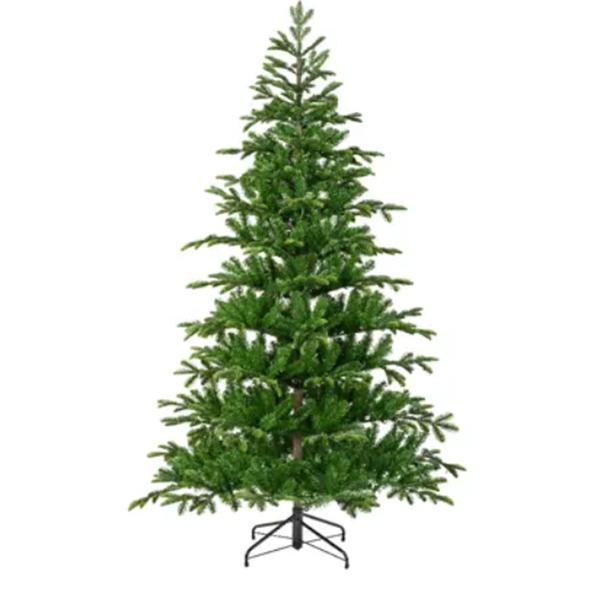 Balsamea Fir