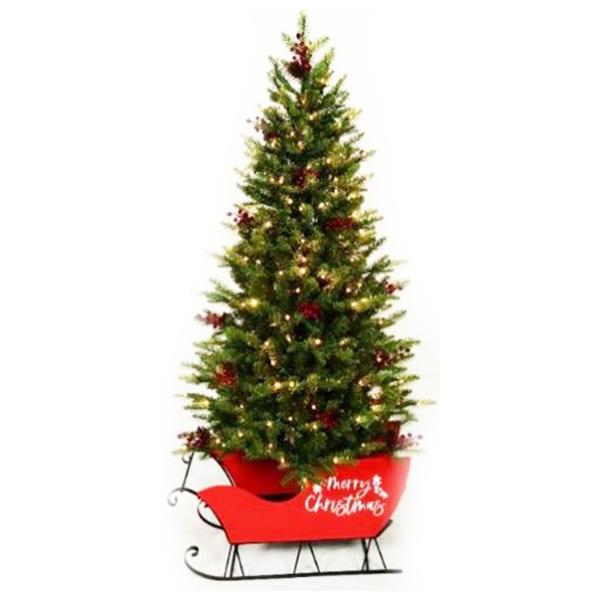 Green Mountain Fir In Sleigh 5ft