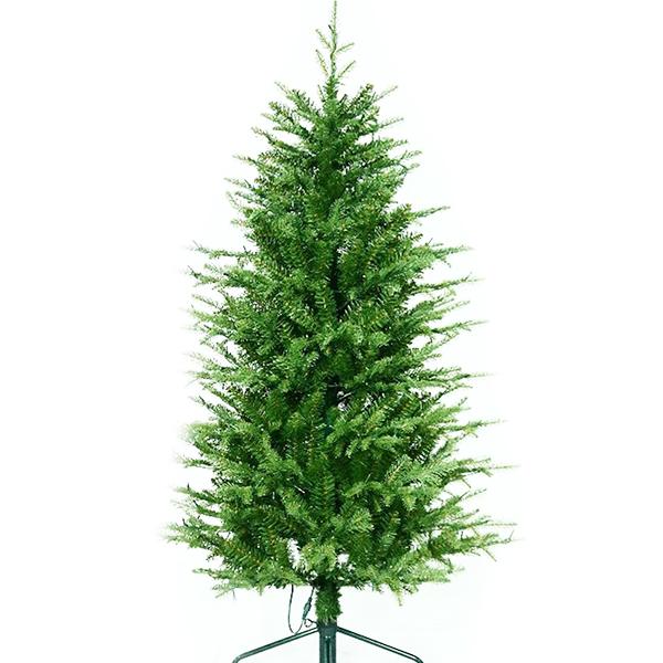 Kensington Fir