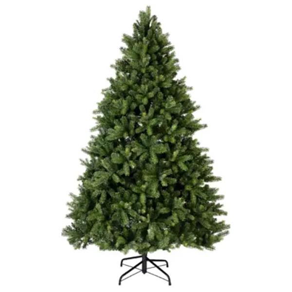 Freiburg Pine