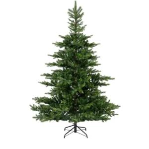 Grandis Fir 