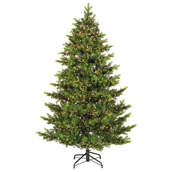 Galloway Spruce 7.5ft