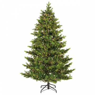 Galloway Spruce 7.5ft
