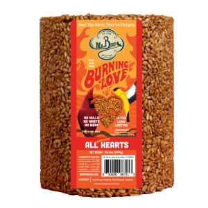 Mr Bird Burning Love Large Cylider