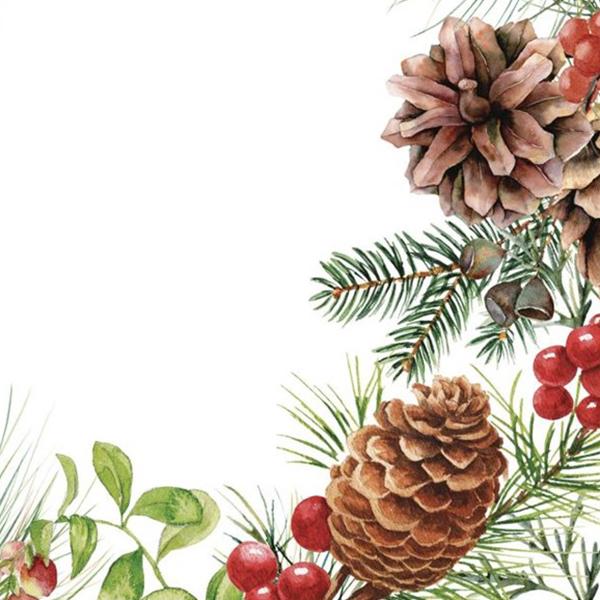 Michel Design Works White Spruce Cocktail Napkin