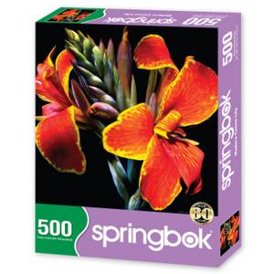 Moderna Calla Lily 500 Pc