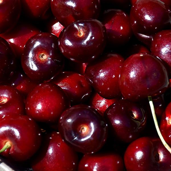 Cherry - Blackgold Semidwarf 7c