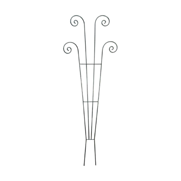 Fan Trellis