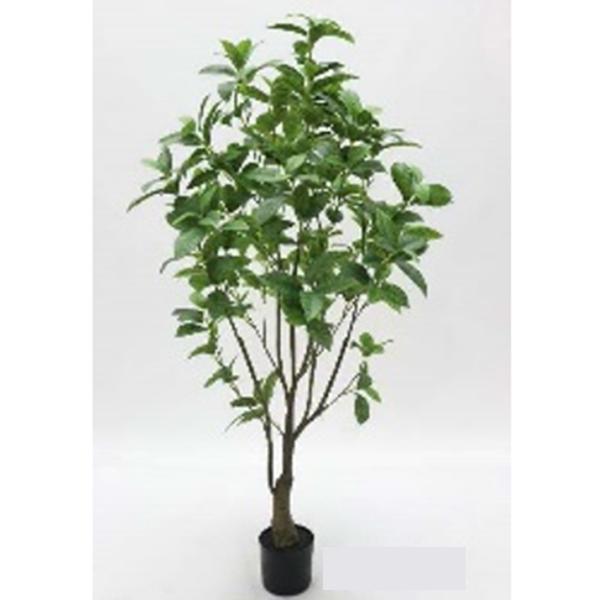 Potted Sweet Osmanthus - 4ft Artificial