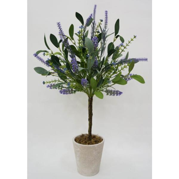 Potted Lavender Plant 21in