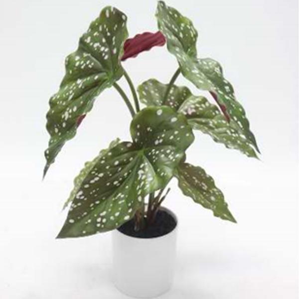 Potted Begonia Tree - 17 in Artificial
