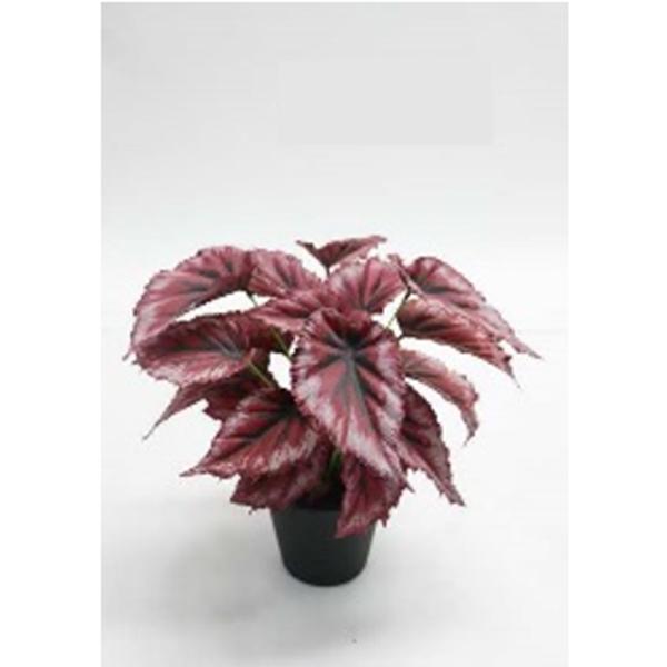 Potted Begonia Leaf - 13in Artificial