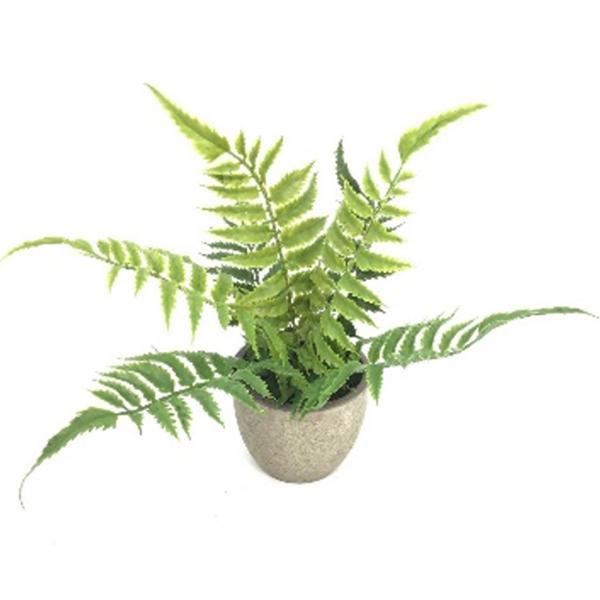 Potted Fern Green - 10in Artificial