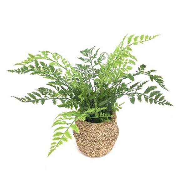 Potted Fern - 16 in Artificial