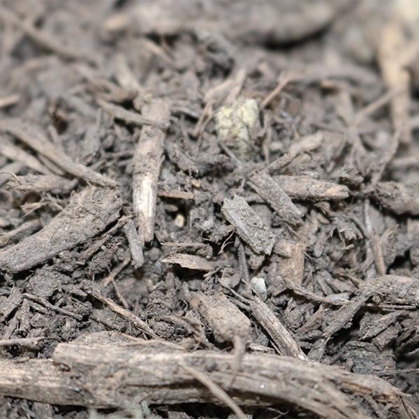 Bulk Mulch - Hardwood Mulch - 1 Scoop (3/4 cu. yd)