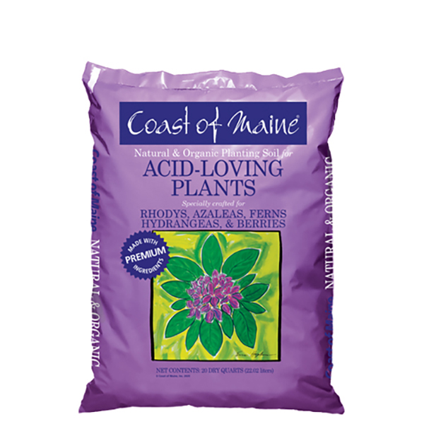 Coast of Maine Acid Loving Plants - 20 qt